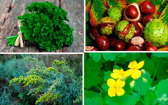 plante medicinale pentru tratamentul prostatitei