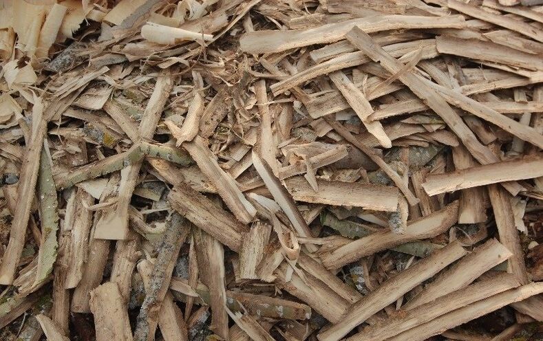 scoarță de aspen pentru prostatită